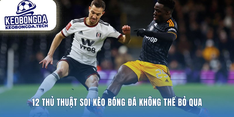 Những phương pháp soi kèo từ chuyên gia