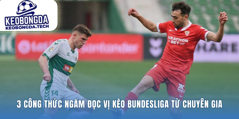 Công thức soi Kèo Bundesliga vượt trên những con số