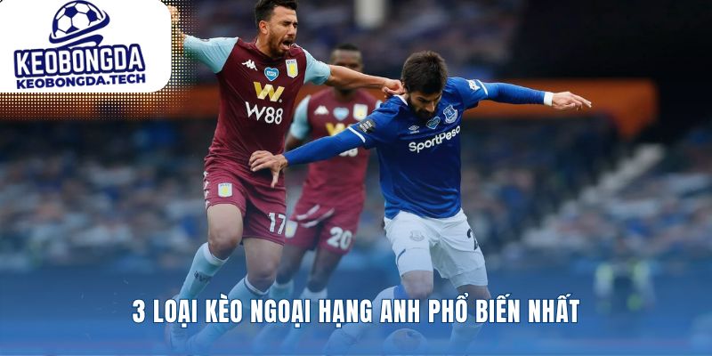 Biến số phức tạp thành ngôn ngữ Kèo Ngoại Hạng Anh