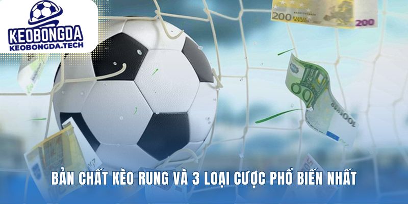 Hiểu rõ ba vũ khí chính trong cá cược trực tiếp
