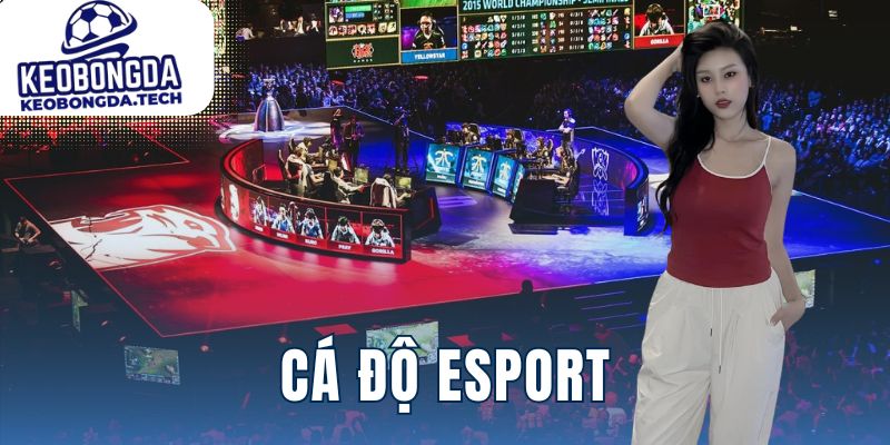 Cá độ esport