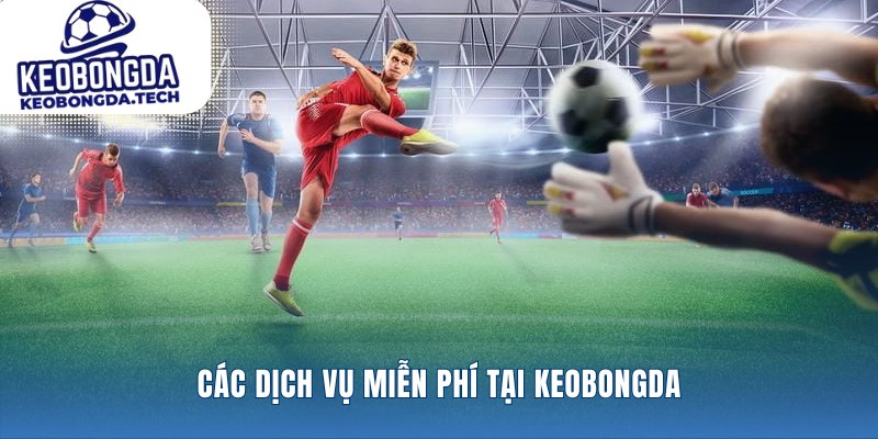 Giới thiệu keobongda với công cụ soi kèo vượt trội