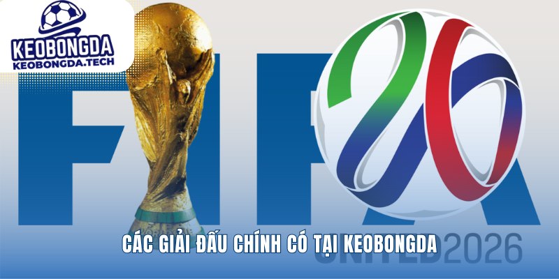 Soi kèo mọi giải đấu bóng đá đỉnh cao