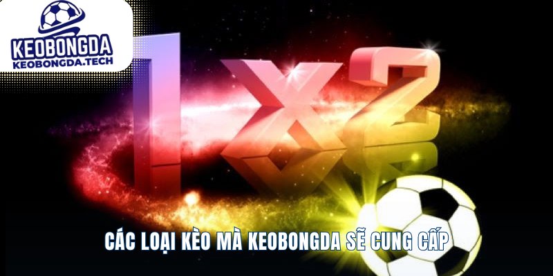 Các loại cược phổ biến tại keobongda