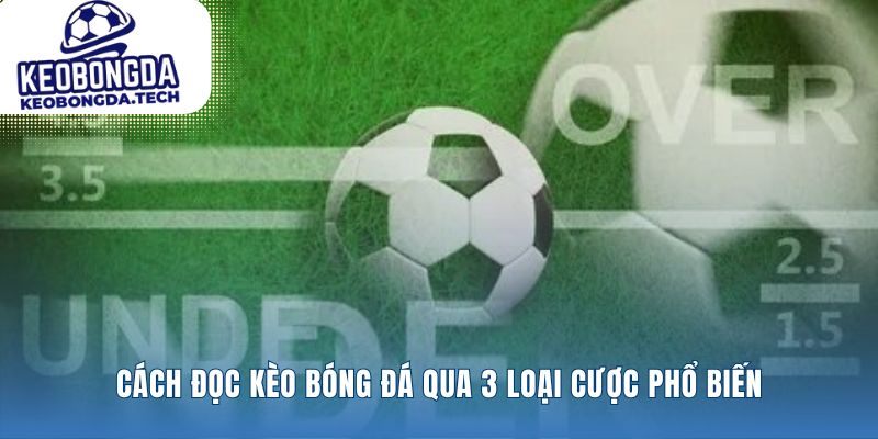 Cách đọc kèo bóng đá qua ba loại cược chính