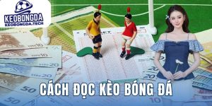 cách đọc kèo bóng đá