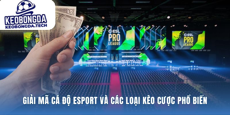 Đặt nền móng cho hành trình cá độ esport