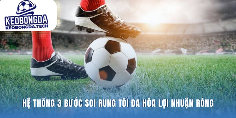 Xây dựng quy trình soi kèo rung chuyên nghiệp nhất