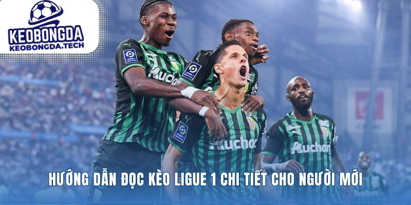 Giải mã ngôn ngữ trên bảng kèo cược Pháp