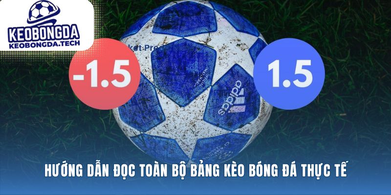 Cách đọc kèo bóng đá từ các ký hiệu đơn giản