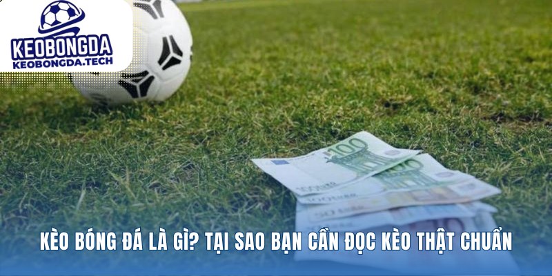 Các kiến thức nền tảng về tỷ lệ cược