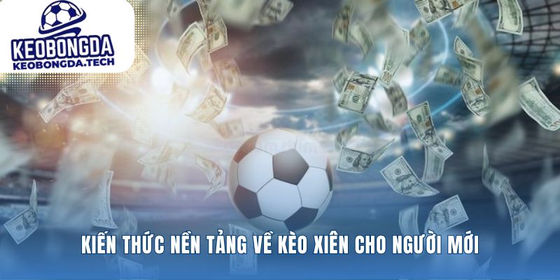 Những quy tắc cơ bản để làm chủ cược gộp
