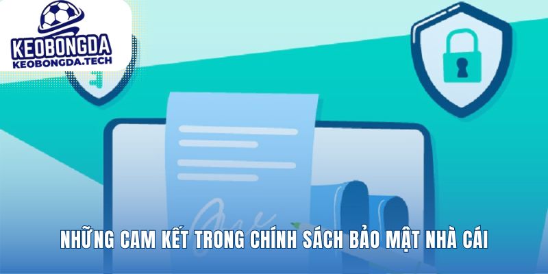 Lời hứa vững chắc về sự an toàn của bạn