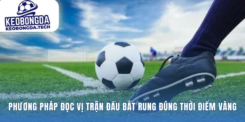 Chuyển tín hiệu sân cỏ thành lợi thế quyết định