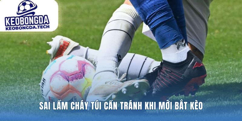 Xây dựng kỷ luật vững chắc để bảo vệ tiền cược