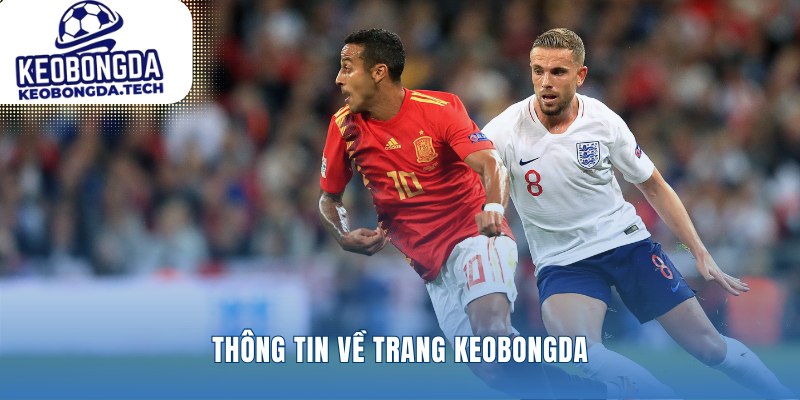 Nền tảng soi kèo bóng đá uy tín