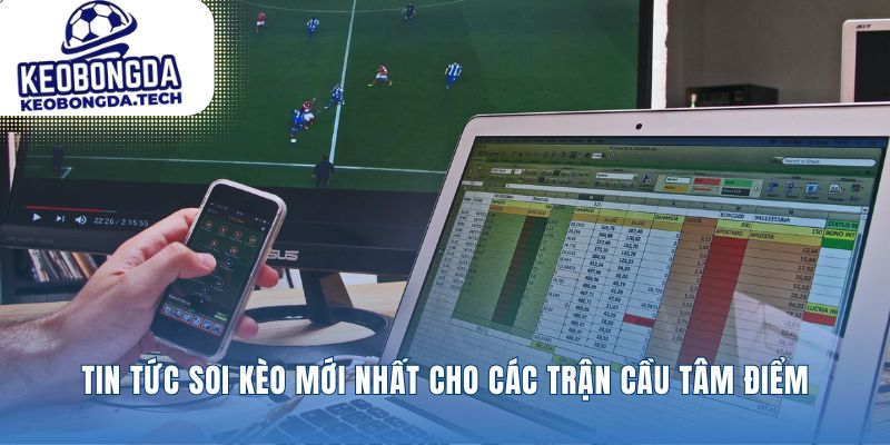Tin tức nóng hổi định hình nên lựa chọn cuối cùng