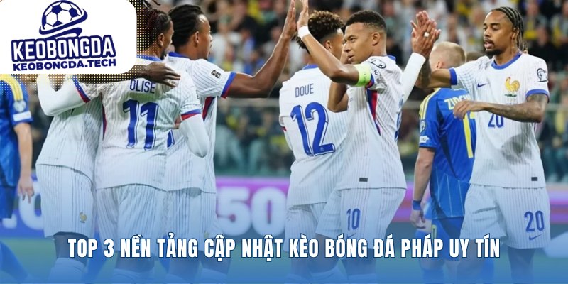 Những nguồn cập nhật Kèo Ligue 1 đáng tin cậy