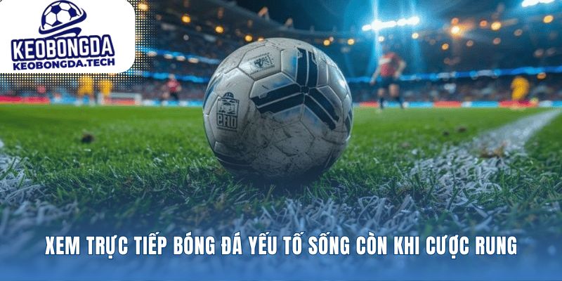 Nơi xem trực tiếp bóng đá không bỏ lỡ cơ hội